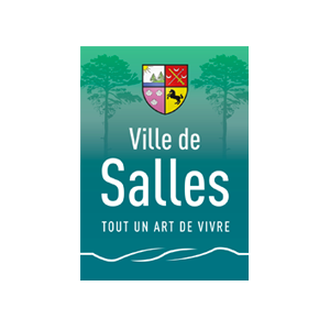 ville-de-salle-protection-transfert-de-donnes